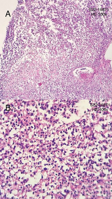 Imagem do artigo